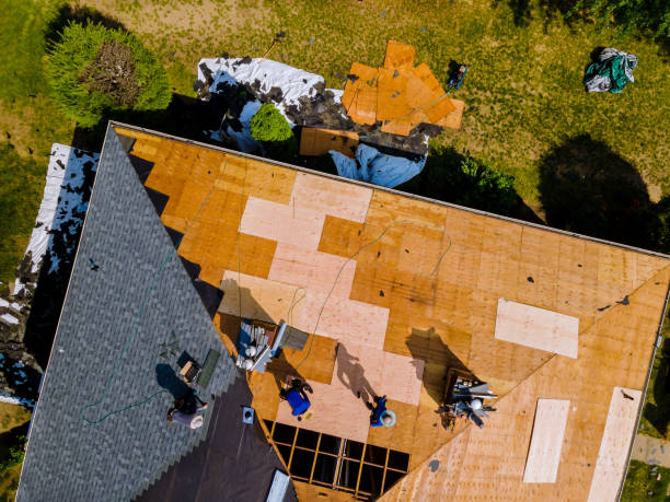 Best Flat Roof Repair Services  in Wilton, IA